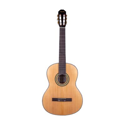 Гитара классическая Agnetha ACG-E140