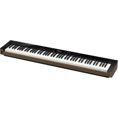 Цифровое пианино Casio Premium Privia (PX-S6000BKC7)