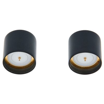 Микрофонный капсюль sE Electronics SE8 Omni Stereo-Capsule Set