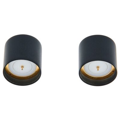 Микрофонный капсюль sE Electronics SE8 Cardioid Capsule Set