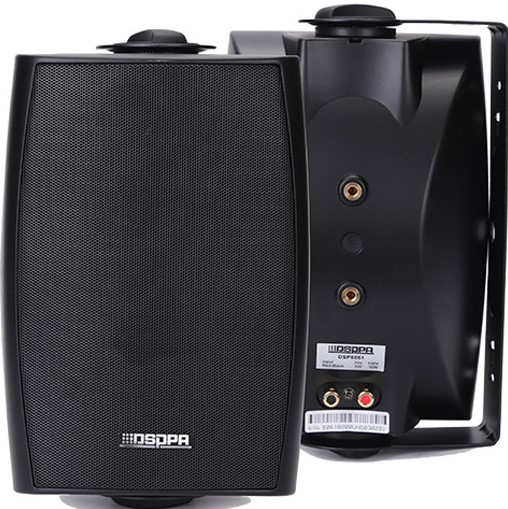 Громкоговоритель настенный DSPPA DSP6064B