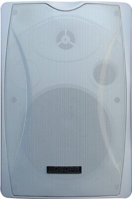 Громкоговоритель настенный DSPPA DSP8064W