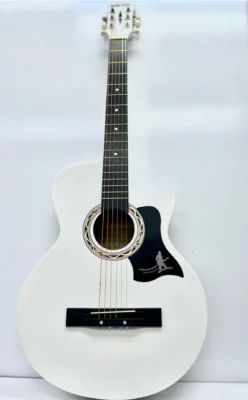 Акустическая Гитара Ronnie WOOD 38WH